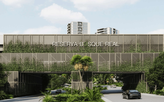 Bosque de Ambar by Bosque Real
